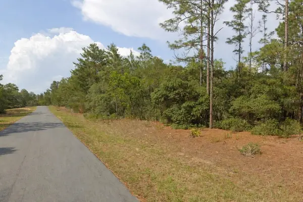 11033 N Trigger Terrace, CITRUS SPRINGS, FL 34433