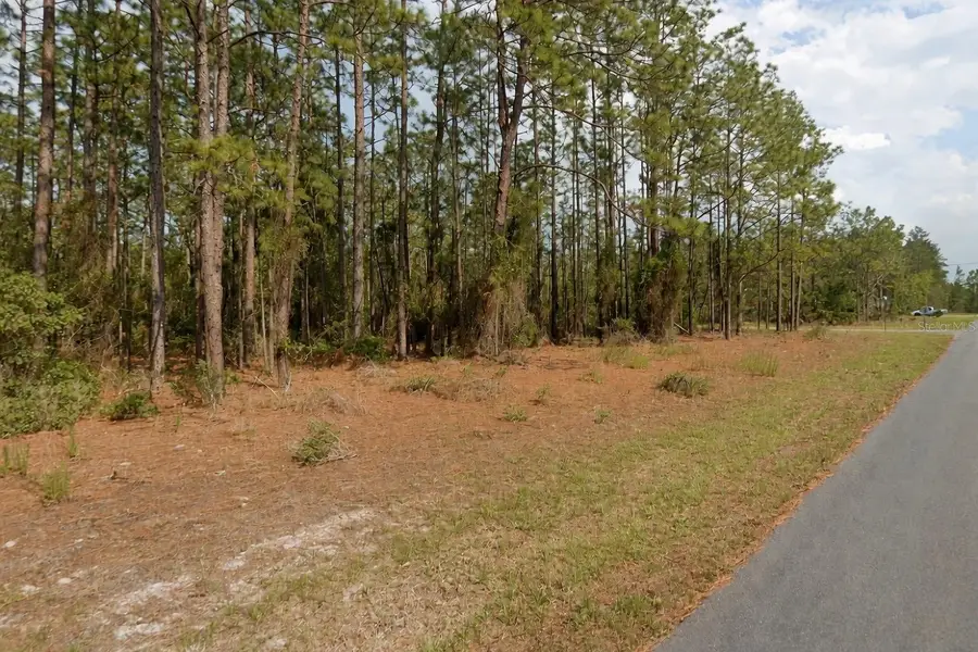 11033 N Trigger Terrace, Citrus Springs, FL 34433 - #2