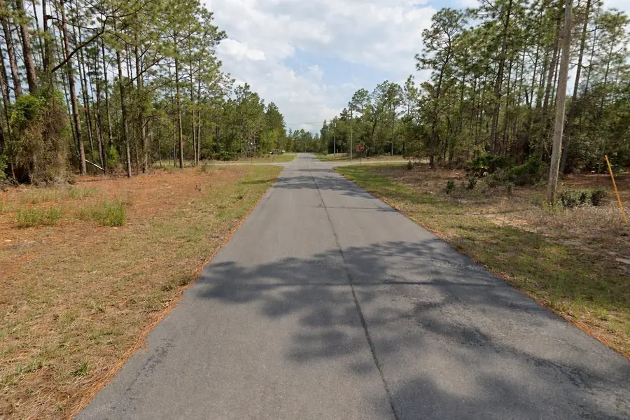 11033 N Trigger Terrace, Citrus Springs, FL 34433 - #3