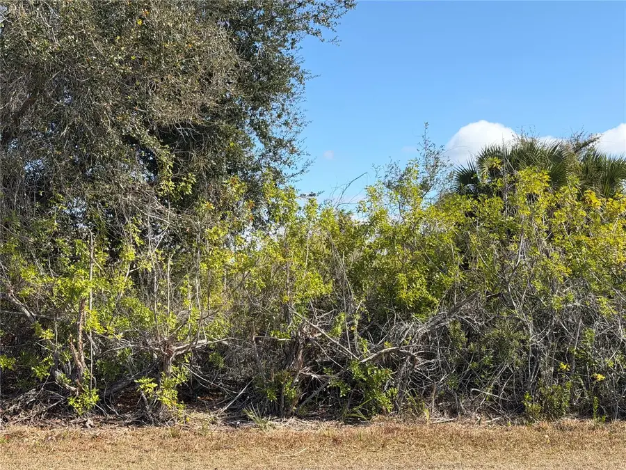 14366 Edsel Drive, Port Charlotte, FL 33981 - #2