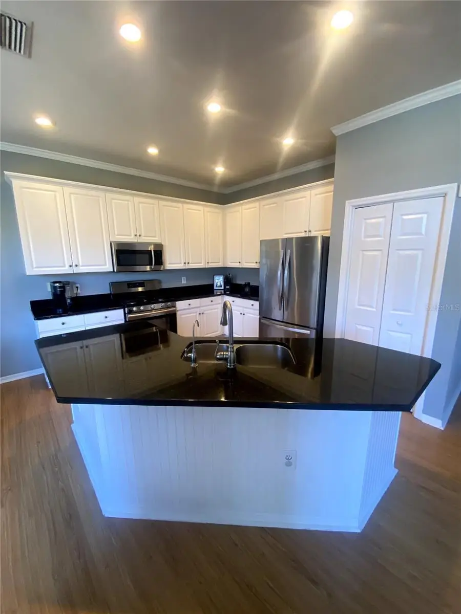 6020 Martinglade Place, Lithia, FL 33547 - #3