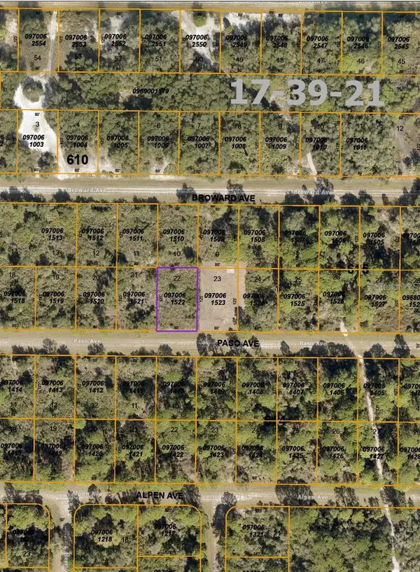 Paso Avenue, NORTH PORT, FL 34291