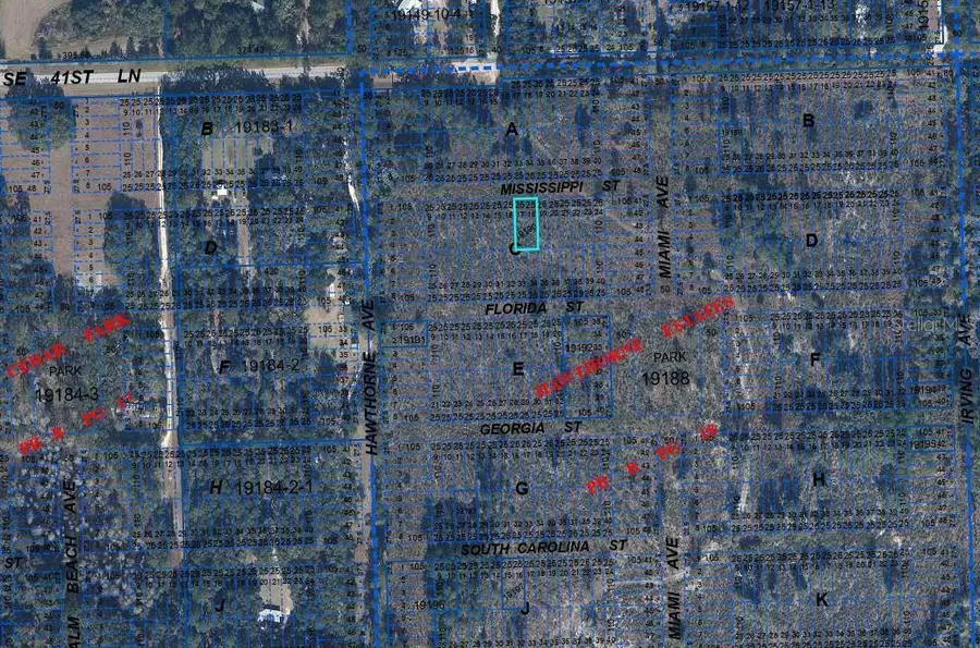 000 Mississippi Street, Hawthorne, FL 32640 - #3