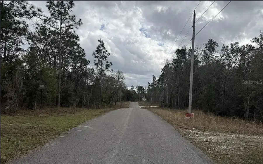 0 NE 16th Place, Williston, FL 32696 - #2