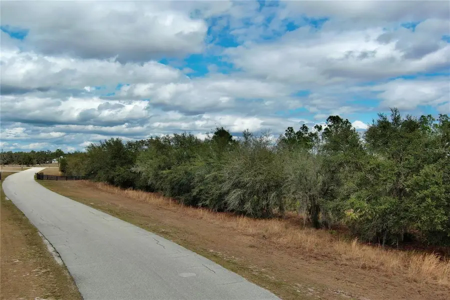 2107 405 Ct E, Myakka City, FL 34251 - #2