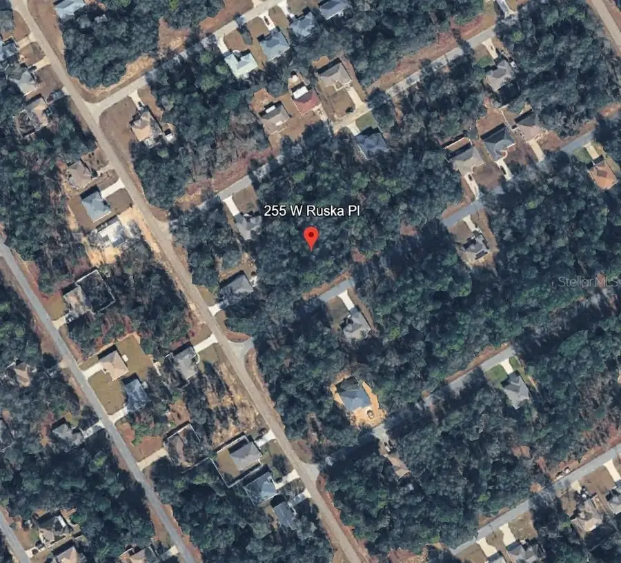 255 W Ruska Place, Citrus Springs, FL 34434 - #2