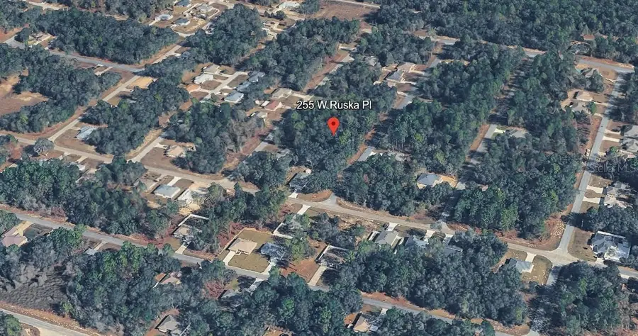 255 W Ruska Place, Citrus Springs, FL 34434 - #3