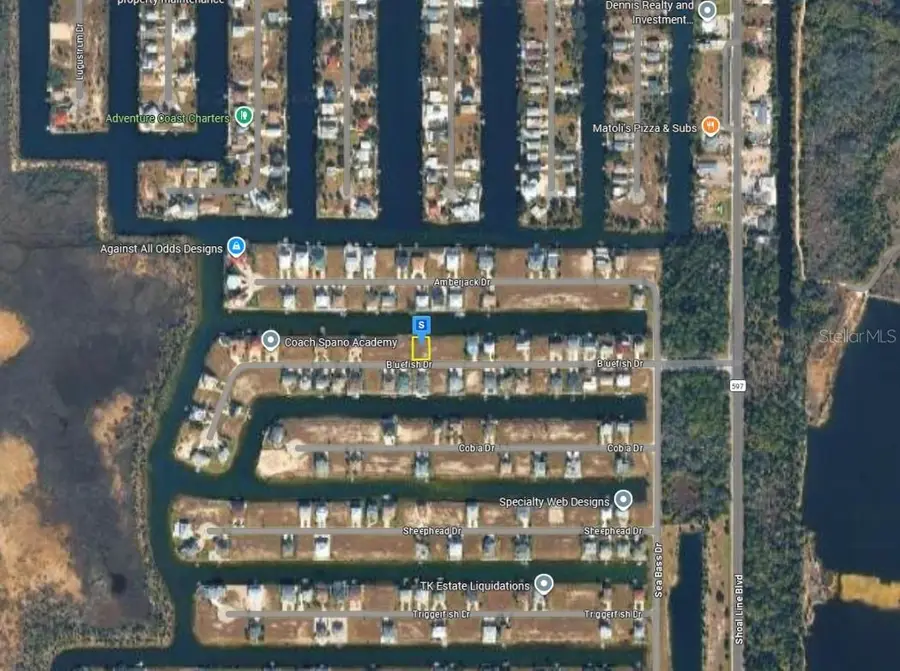 3487 Bluefish Drive, Hernando Beach, FL 34607 - #3