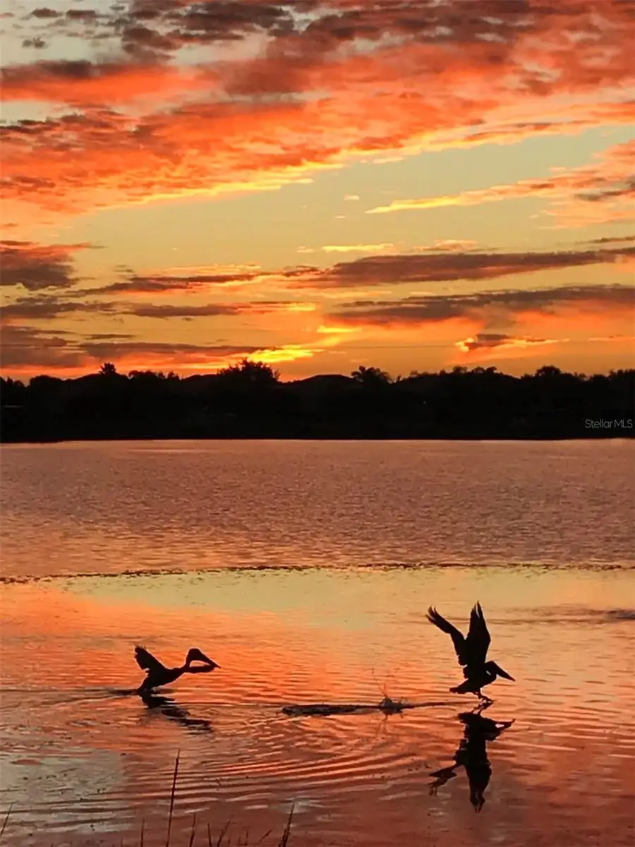 1151 Riverscape Street #1151, Bradenton, FL 34208 - #3