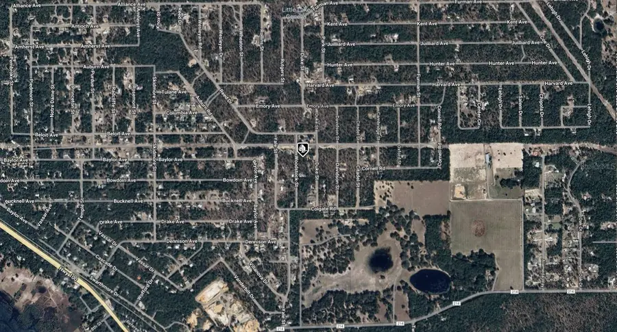 7243 Woodstock Street, Keystone Heights, FL 32656 - #3