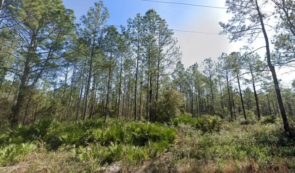 10620 Beckenger Avenue, Hastings, FL 32145 - #1