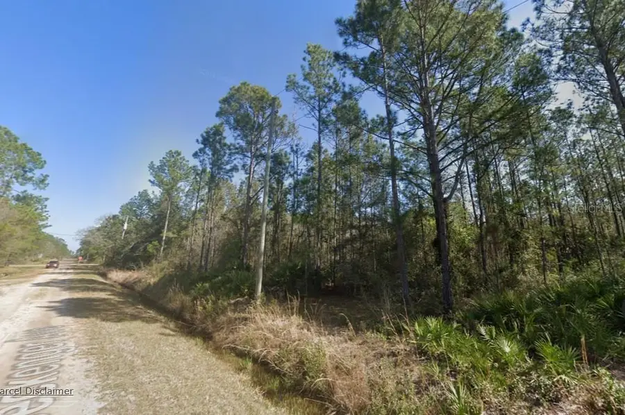 10620 Beckenger Avenue, Hastings, FL 32145 - #3