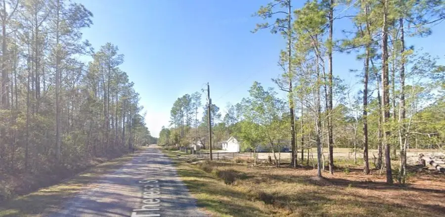 4335 Theresa Street, Hastings, FL 32145 - #3