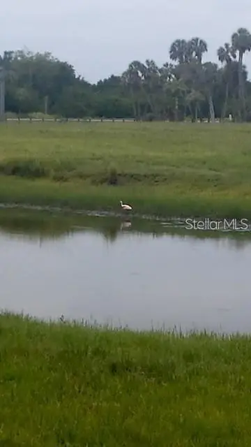 7000 Us-19, Terra Ceia, FL 34250 - #3