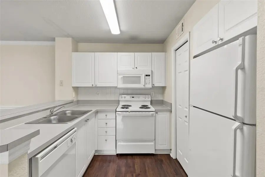 18106 Peregrines Perch Place #5104, Lutz, FL 33558 - #3