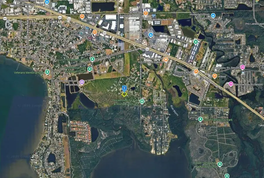 910 Waverly St Avenue, Oldsmar, FL 34677 - #3