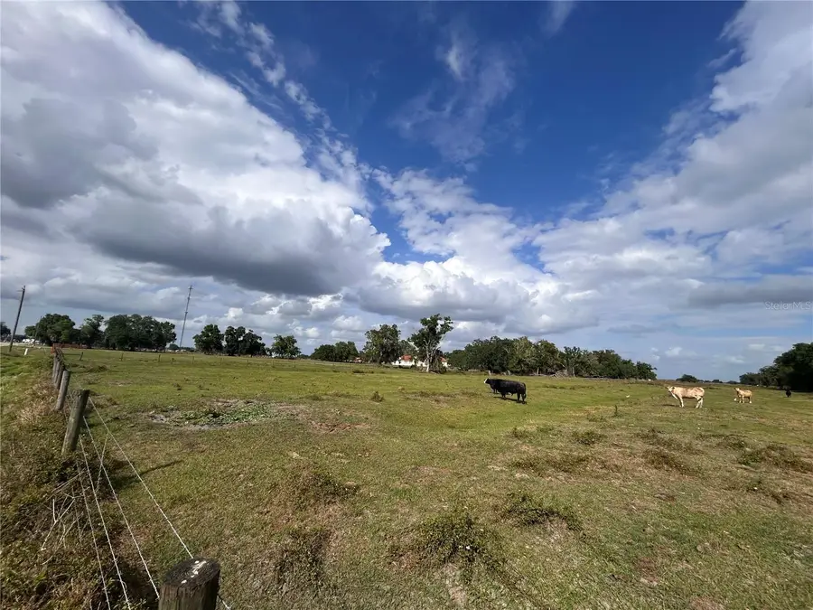 Washington Street, Arcadia, FL 34266 - #2