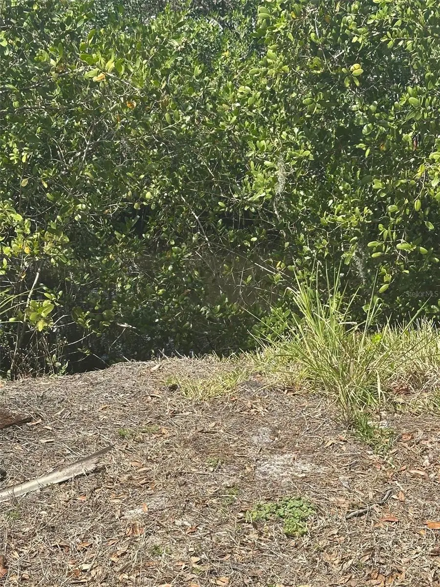 Riverview Drive, Nokomis, FL 34275 - #2