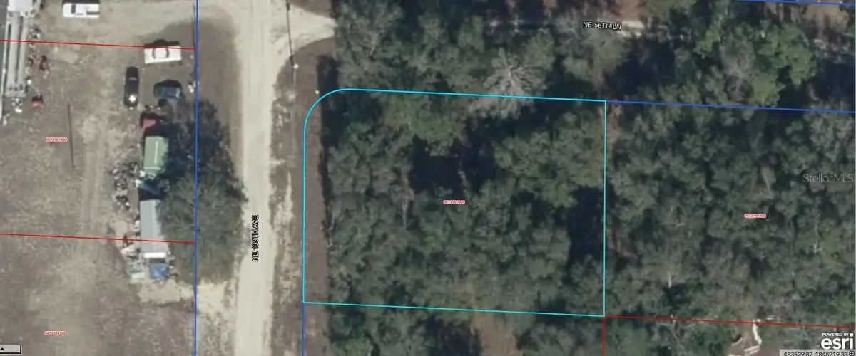 06721-010-00 NE 139th Avenue, Williston, FL 32696 - #1
