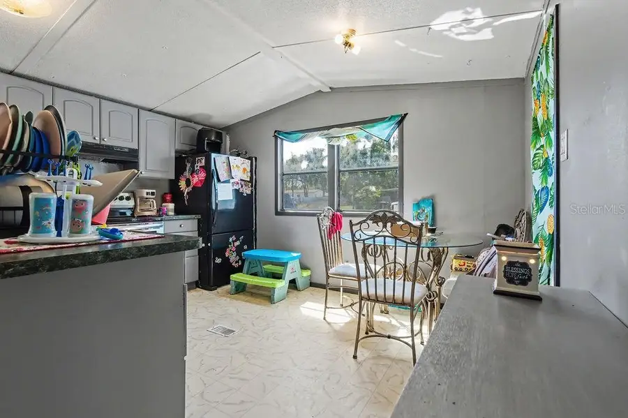 14541 SE 91st Terrace, Summerfield, FL 34491 - #3