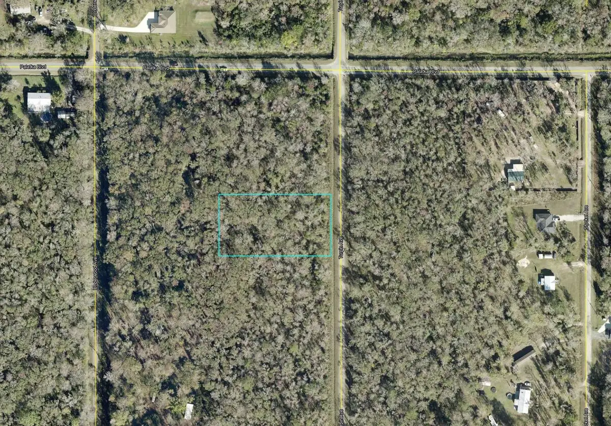 10625 Turpin Avenue, Hastings, FL 32145 - #1