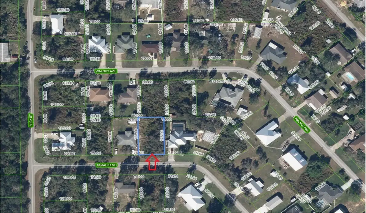 1507 Tamah Boulevard, Lake Placid, FL 33852 - #1