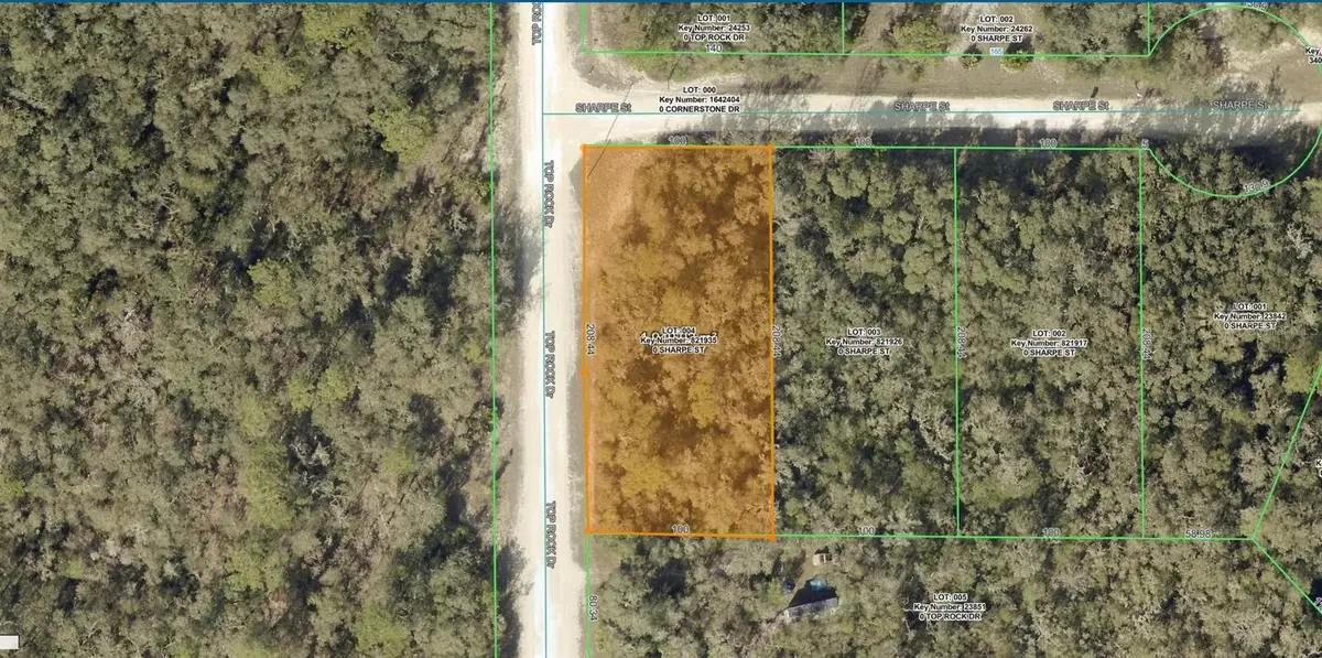 Sharpe Street, Webster, FL 33597 - #1