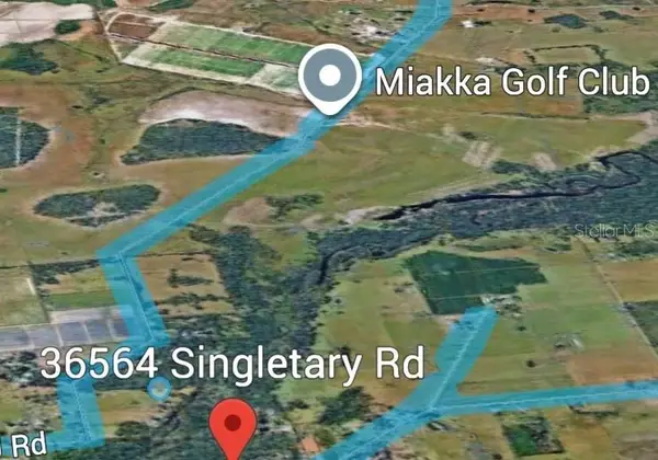 36564 Singletary Road, MYAKKA CITY, FL 34251