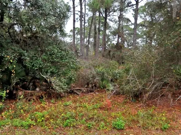 Neon Avenue, NORTH PORT, FL 34291