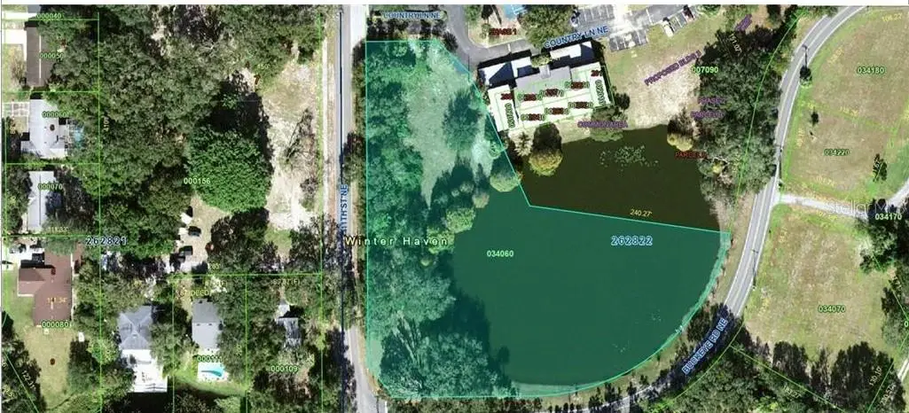 26-28-22-000000-034060 Buckeye Road, Winter Haven, FL 33881 - #1