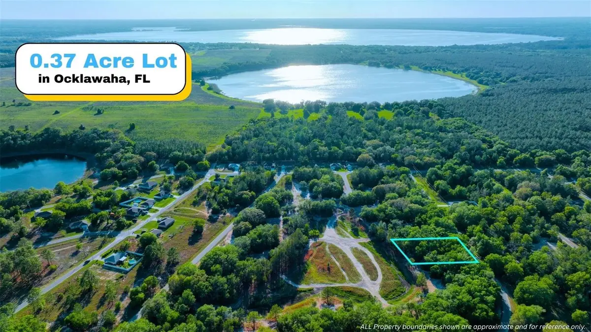 TBD Malauka Radial, Ocklawaha, FL 32179 - #1