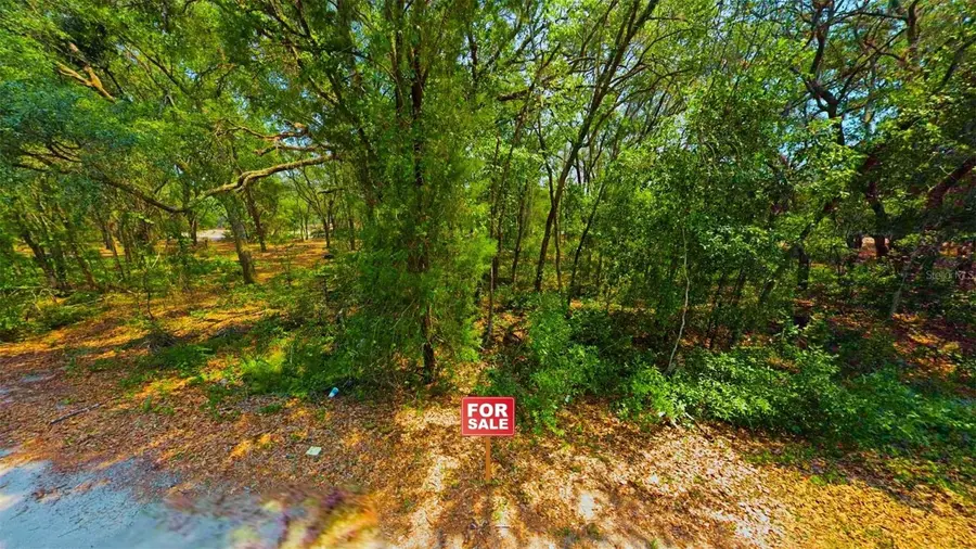 TBD Malauka Radial, Ocklawaha, FL 32179 - #3