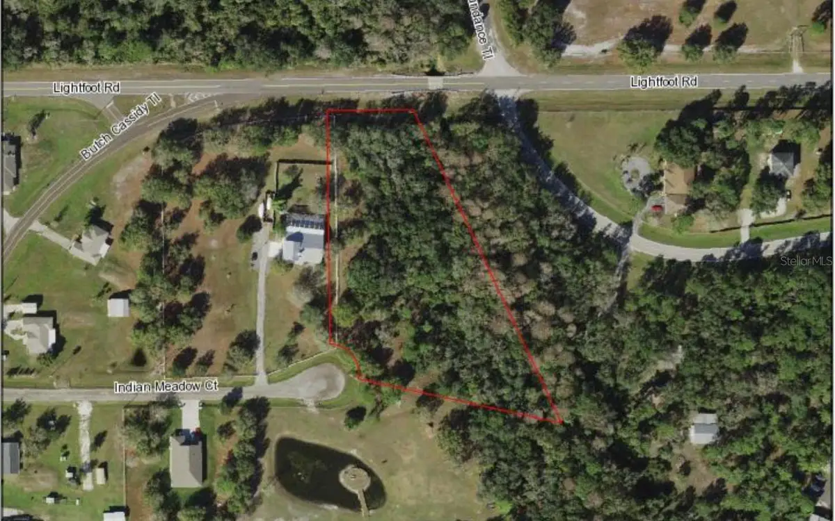 401 Indian Meadow Court, Wimauma, FL 33598 - #1