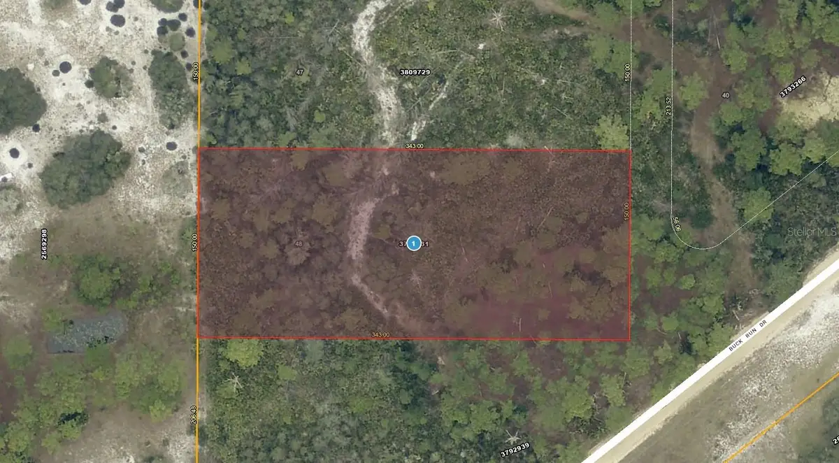 28-17-28-0004-000-03100 Buck Run Drive, Paisley, FL 32767 - #1