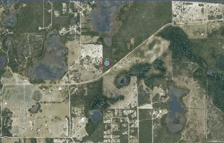 28-17-28-0004-000-03100 Buck Run Drive, Paisley, FL 32767 - #3