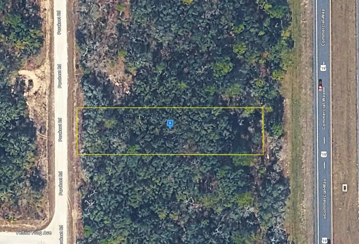 18364 Parakeet Road, Brooksville, FL 34614 - #1
