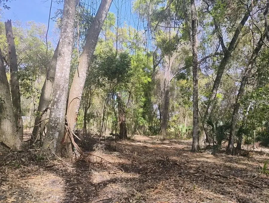 Spring Garden Ranch, De Leon Springs, FL 32130 - #2