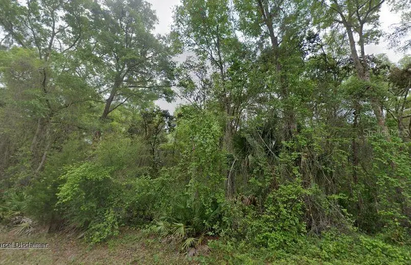 88 NE 463rd Avenue, Old Town, FL 32680 - #2