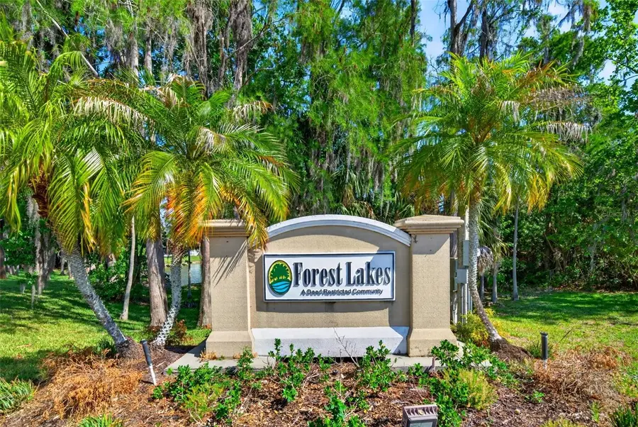 549 Longwood Circle, Oldsmar, FL 34677 - #3