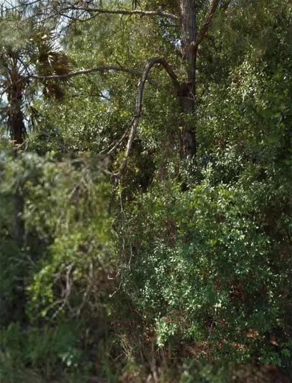 Ohio Road, NORTH PORT, FL 34291
