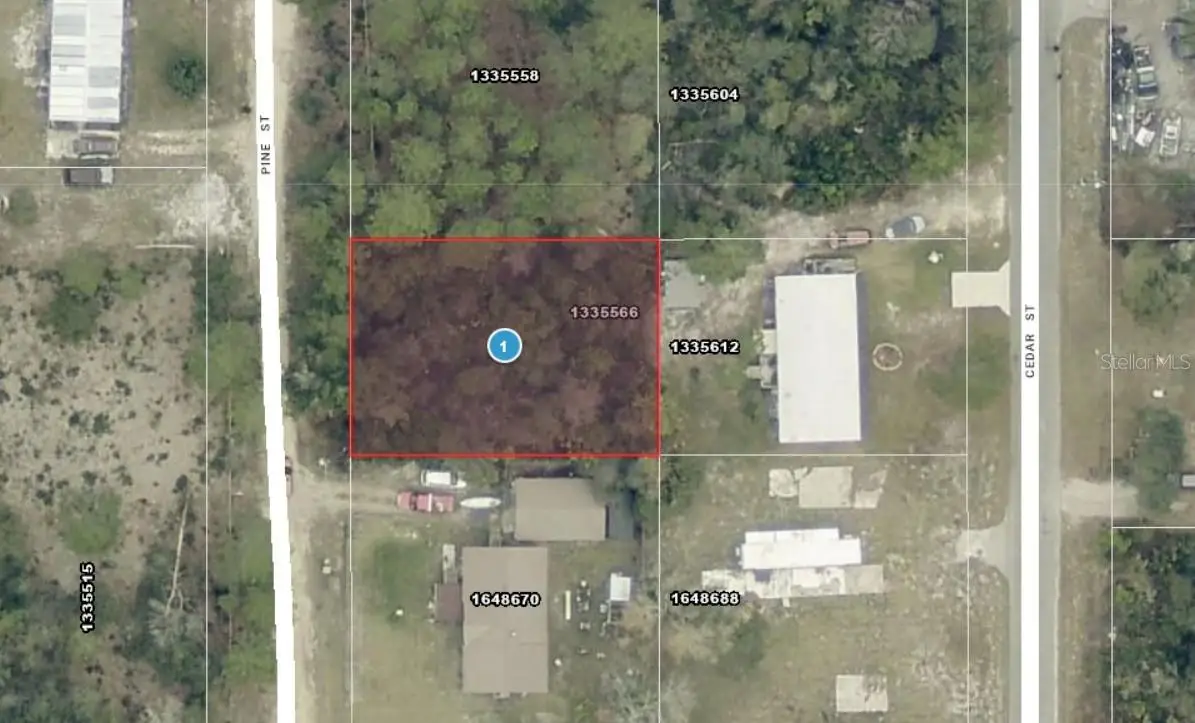 14-17-28-0200-009-01400 Pine Street, Paisley, FL 32767 - #1