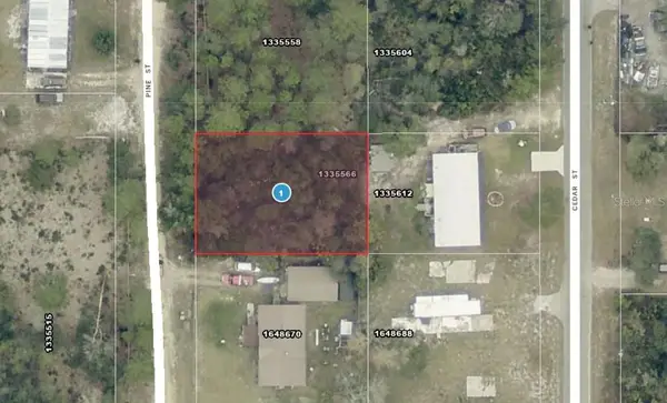 14-17-28-0200-009-01400 Pine Street, PAISLEY, FL 32767