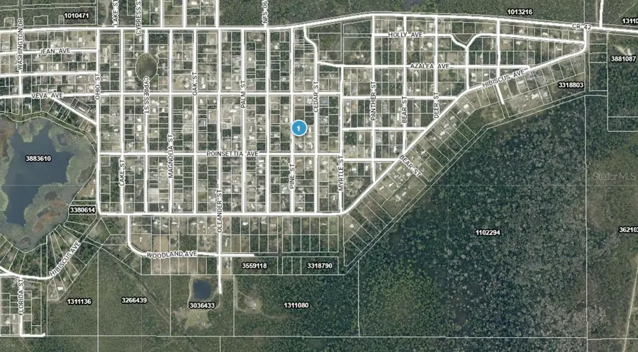 14-17-28-0200-009-01400 Pine Street, Paisley, FL 32767 - #3