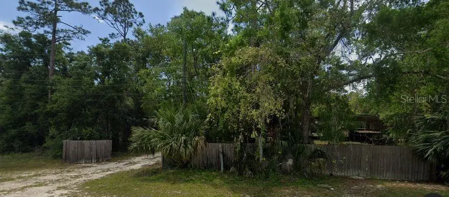 915 Lundy Lane Se, Steinhatchee, FL 32359 - #3