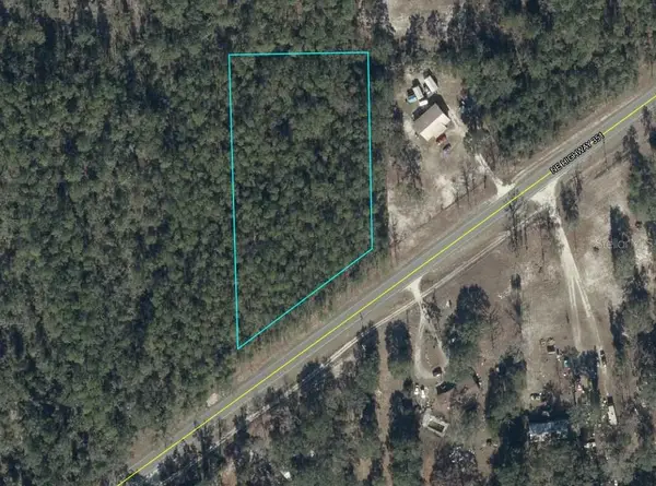 NE Hwy 351, OLD TOWN, FL 32680