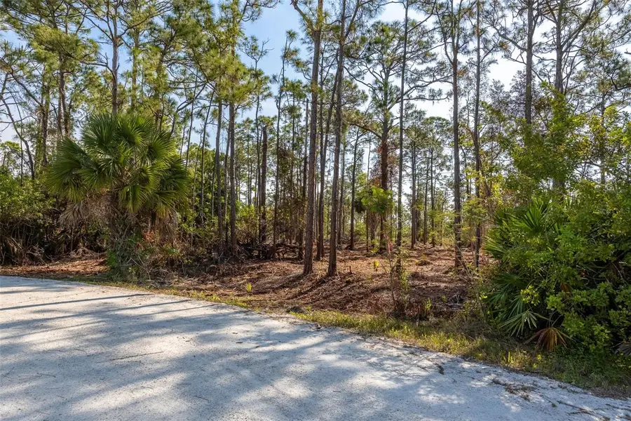 12422 Caravan Drive, Punta Gorda, FL 33955 - #3