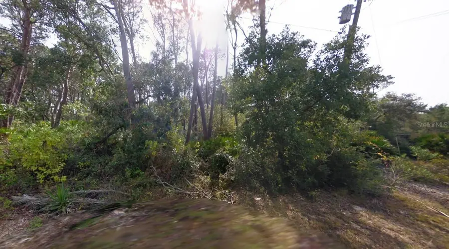 16800 Anna St, Cedar Key, FL 32625 - #2