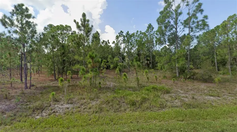 27117 Badger Drive, Punta Gorda, FL 33955 - #2