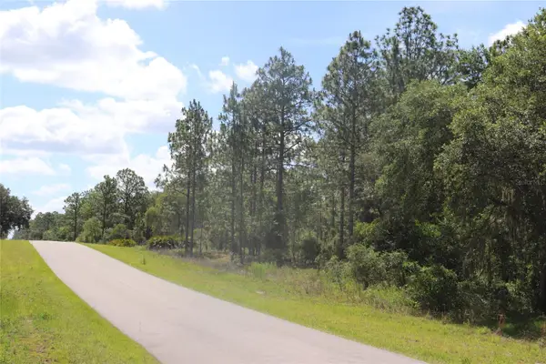 TBD Se 114th Place, DUNNELLON, FL 34431