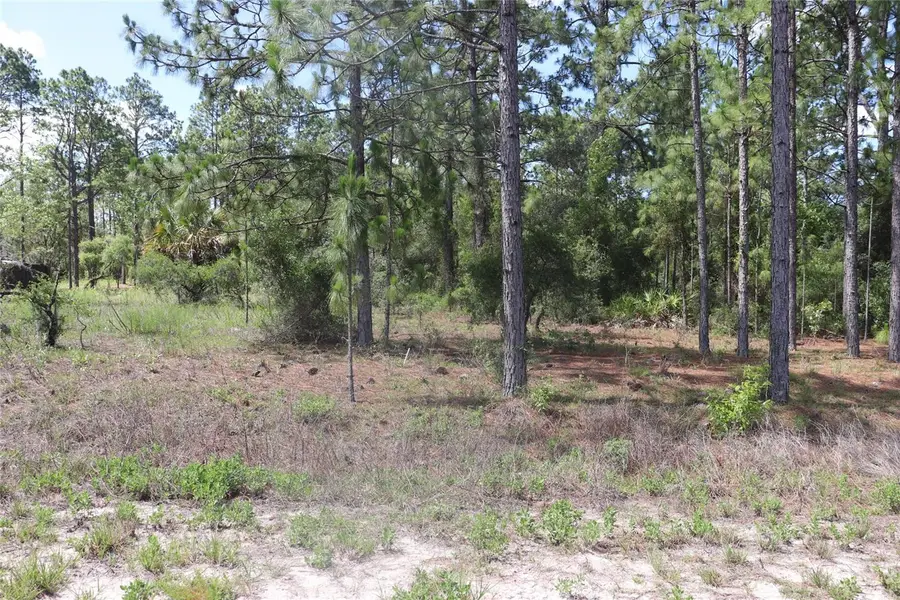 TBD Se 114th Place, Dunnellon, FL 34431 - #3